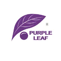 Purple Leaf