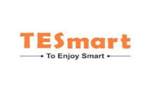 TESmart