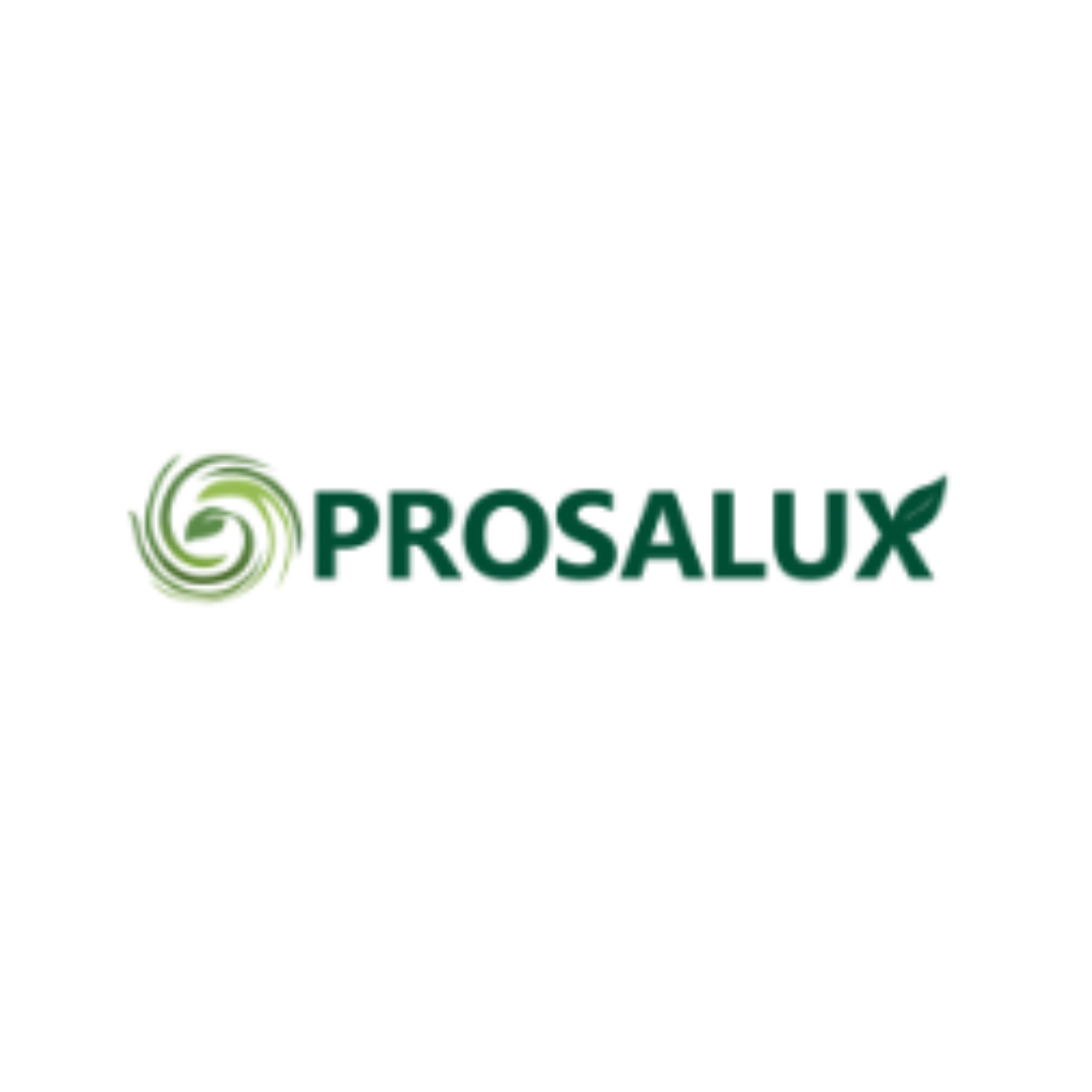 Prosalux IT